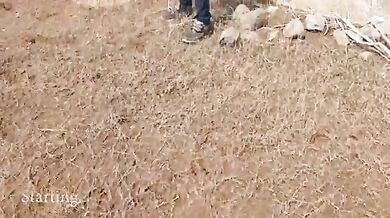 Unseen Pahado Beech Choda Desi Couple Clip